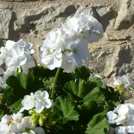 Hameau Des Damayots Bed & Breakfast Montbeugny